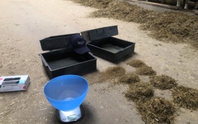 Kluczowa struktura paszy