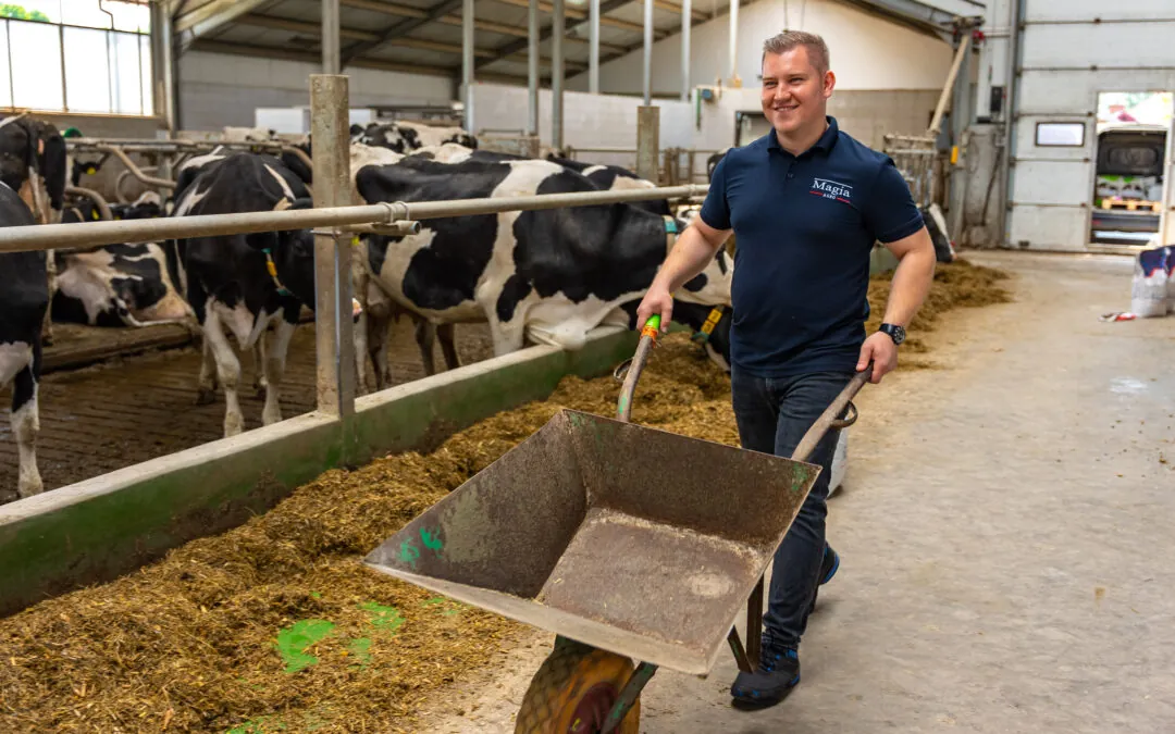 Praca w oborze | Magia Agro - producent pasz dla krów